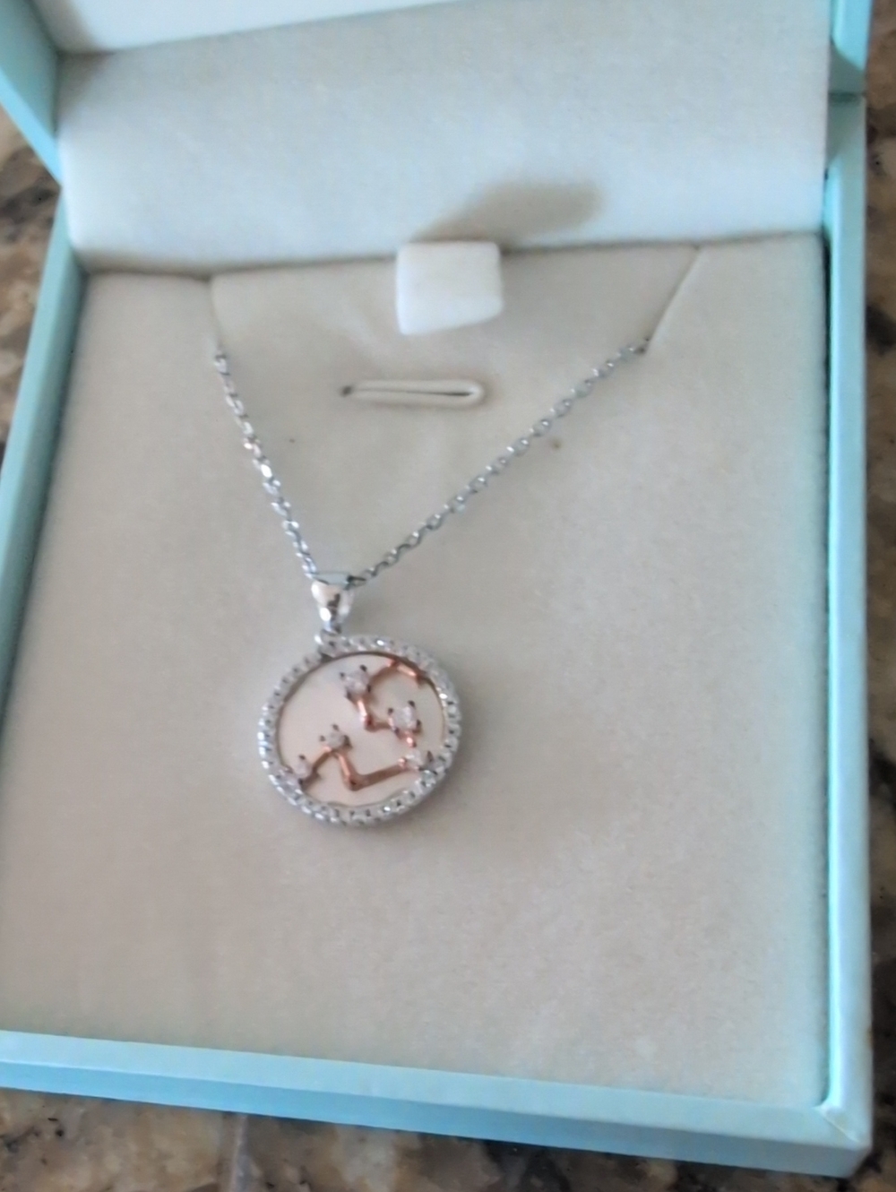 NEW Mega Creative Jewelry Leo Zodiac Necklace